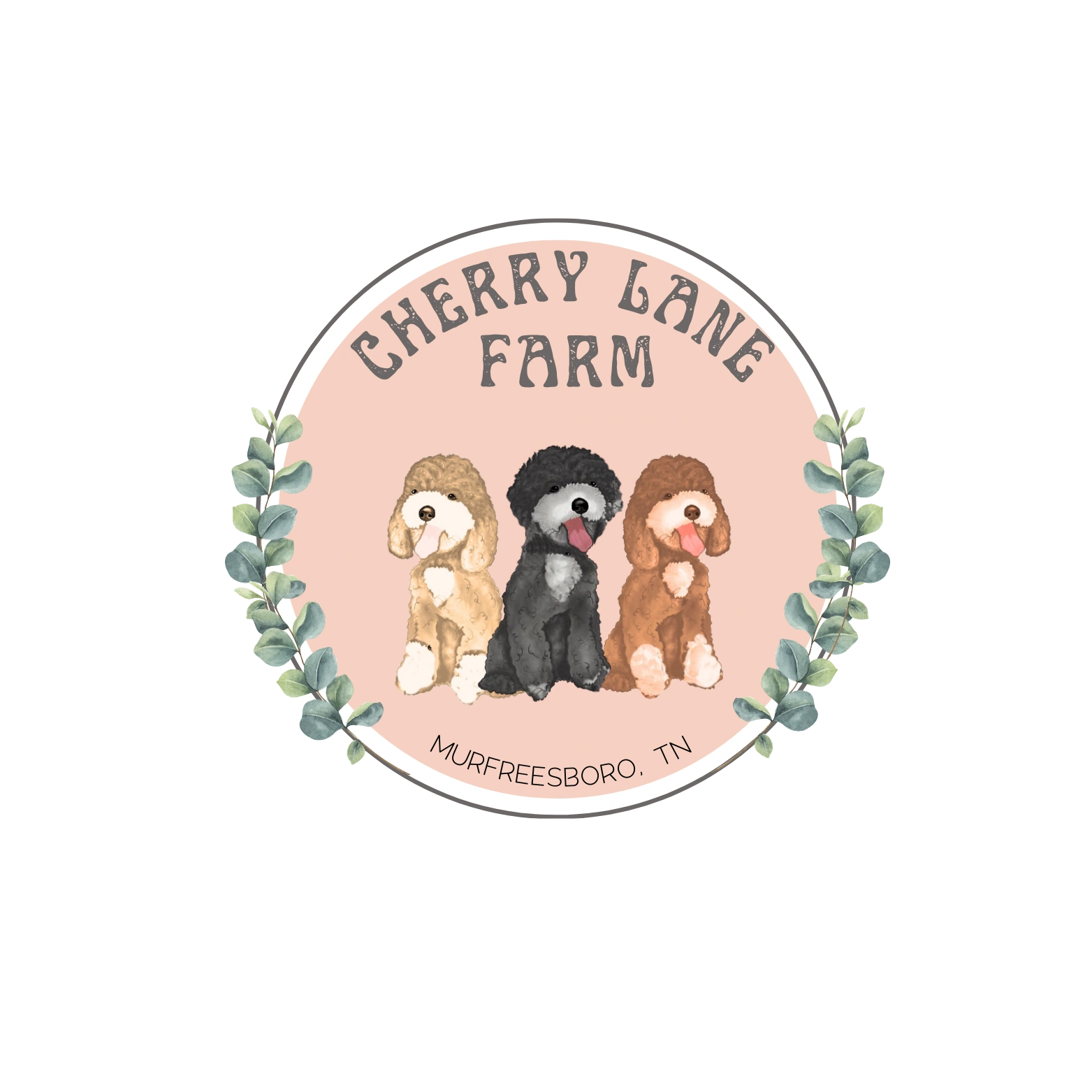 Cherry Lane Farm Doodles